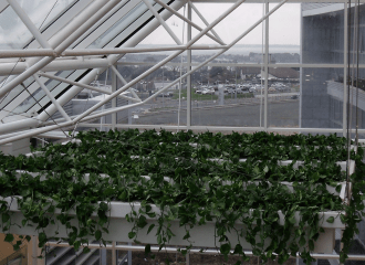 Department of Environment Wexford