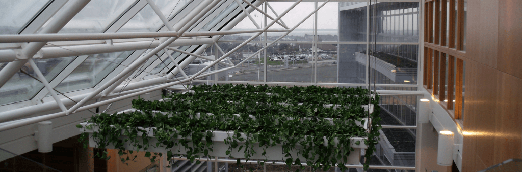 Department of Environment Wexford